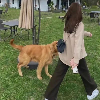 加菲猫的幸福生活第二季