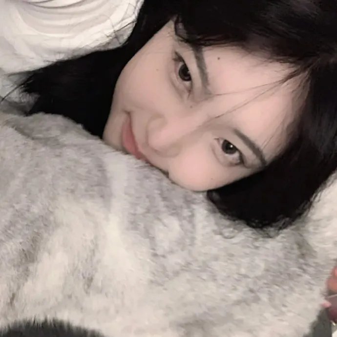 花落莺啼春