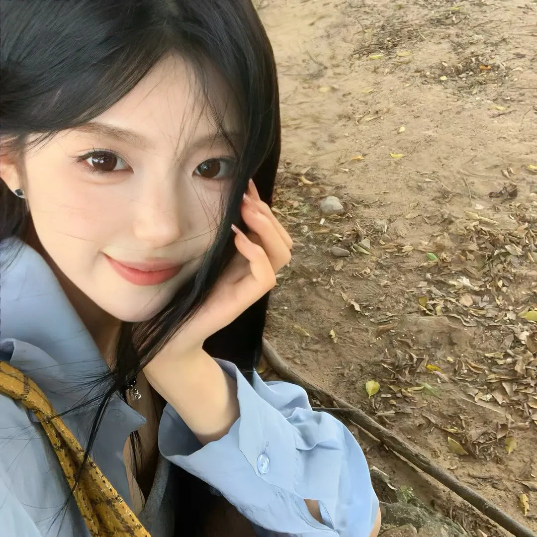 狐狸的故事